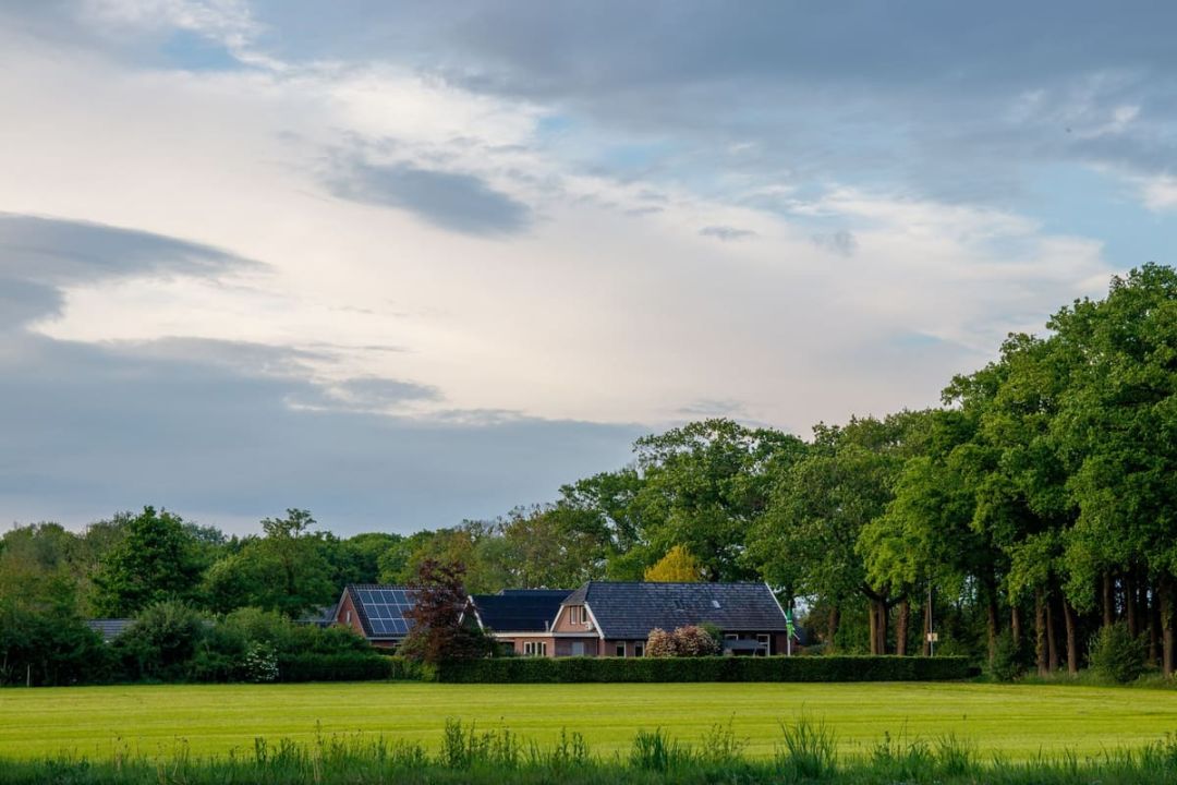 Wohnhäuser mit Photovoltaikanlagen hinter einer Hecke, davor eine Wiese unter einem weiten Himmel.